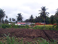 River Antoine Rum Distillerie