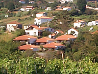 Casas de Campo do Pomar