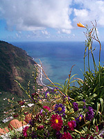 Arco da Calheta