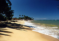 Strand an der Südküste