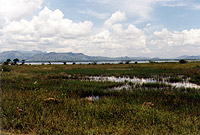 Im National Park Udawalawe